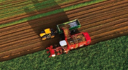 Harvesting-overhead-shot