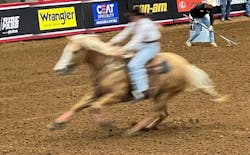 1672948664410 Ceatrodeo 1672948664410 Ceatrodeo