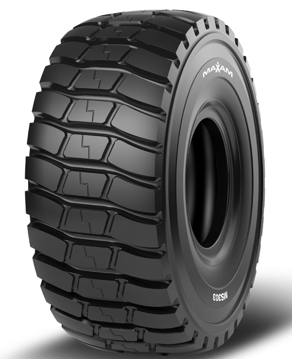 1673018058798 Ms303 Withbackground