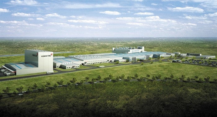 1673022052529 Kumhomaconplant