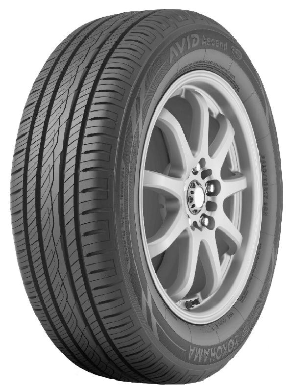 1673035182824 Yokohamaavidascend