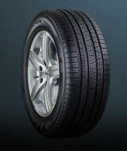 1673040640658 Scorpionverdeallseasonplus