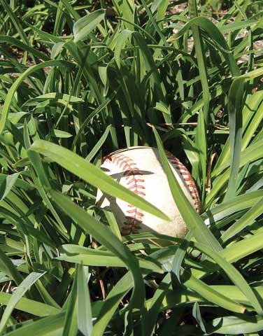 1673040859837 Dontbealostballinhighweeds