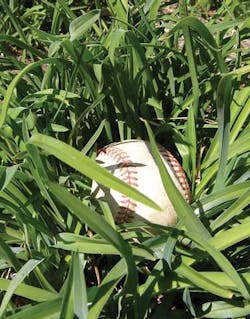 1673040859837 Dontbealostballinhighweeds 1673040859837 Dontbealostballinhighweeds