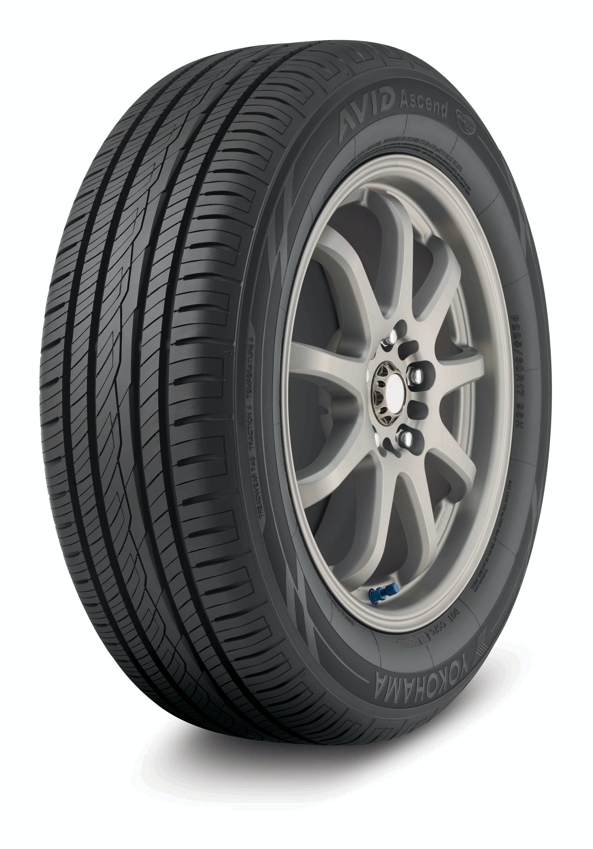 1673041538199 Avidascendsizesmattertoyokohama