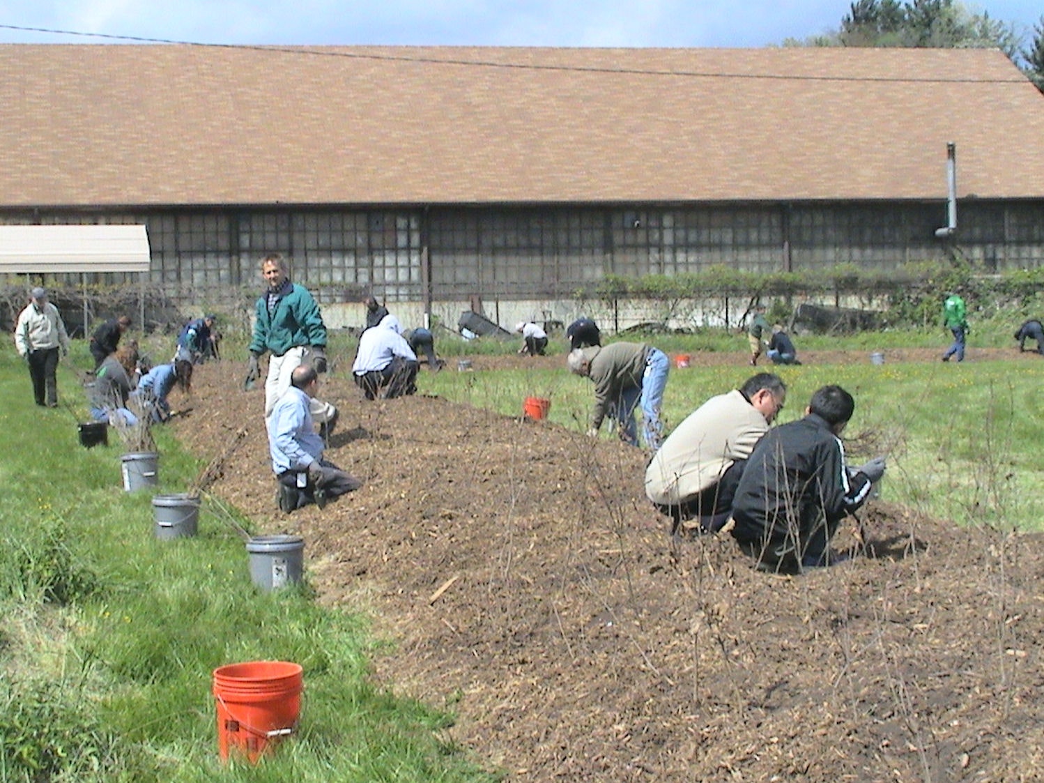 1673041817348 Yokohamasforeverforesteffortbranchesout