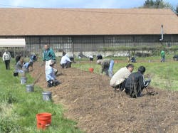 1673041817348 Yokohamasforeverforesteffortbranchesout 1673041817348 Yokohamasforeverforesteffortbranchesout