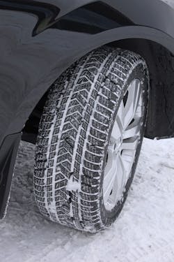 1673043577678 Scorpionwintergetstopmarksonsnow 1673043577678 Scorpionwintergetstopmarksonsnow