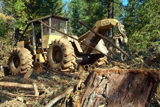 1673045584497 Allianceexpandsforestrytirelineup