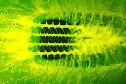 1673045852354 Tiretractioneverythingyoueverwantedtoknow 1673045852354 Tiretractioneverythingyoueverwantedtoknow