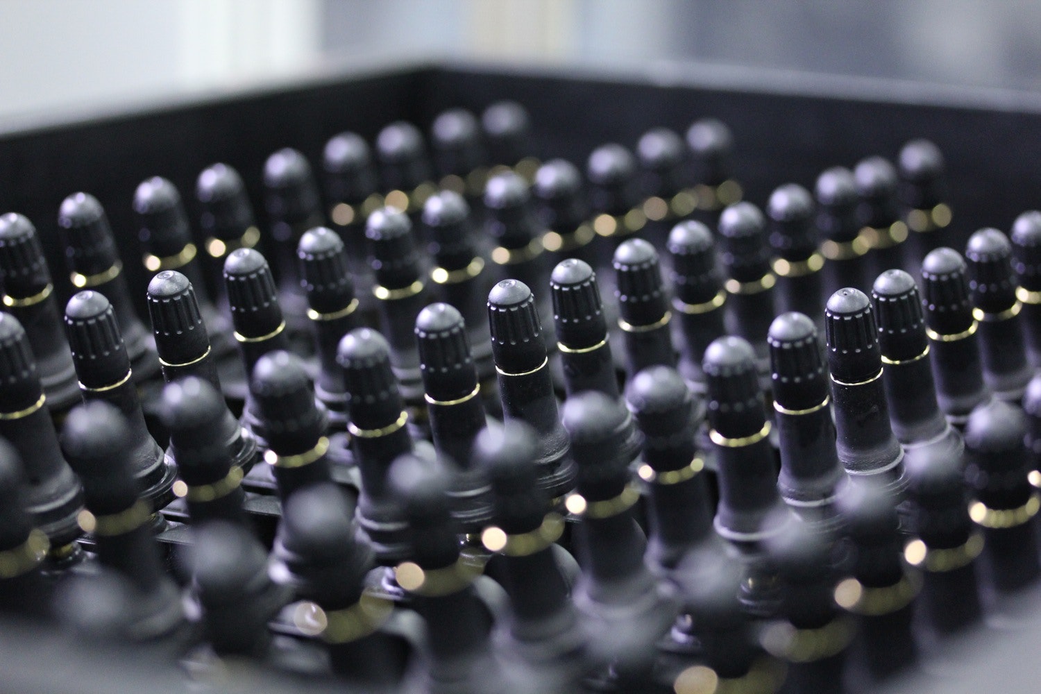 1673048159704 Schradersettoopenexpandedtennplant