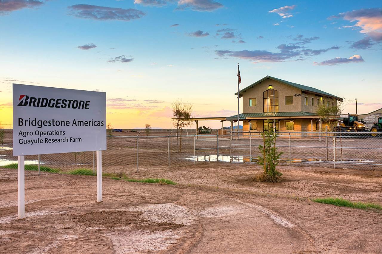 1673049761632 Bridgestonecompletesguayuleresearchfarm
