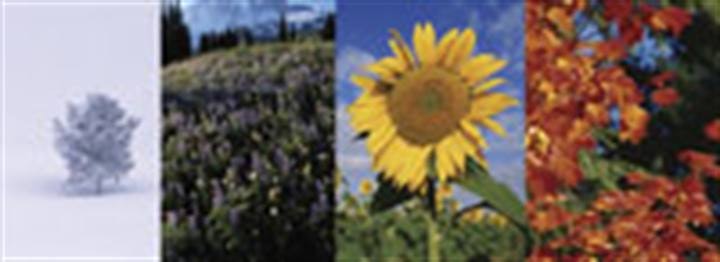 1673283987222 Uhptiretypesbyseason