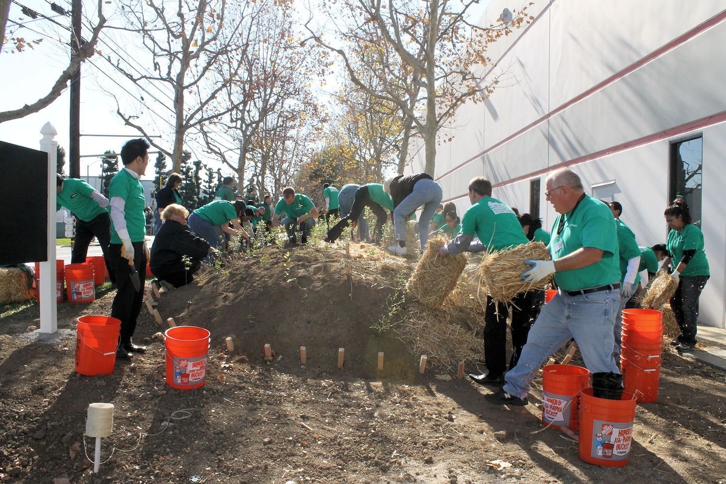1673304881089 Yokohamaplants300moretreesintheus