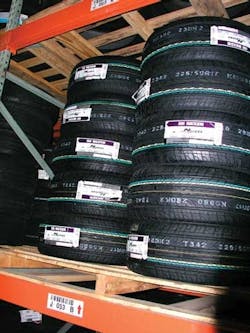 1673305169006 Tamingwildskuproliferation 1673305169006 Tamingwildskuproliferation