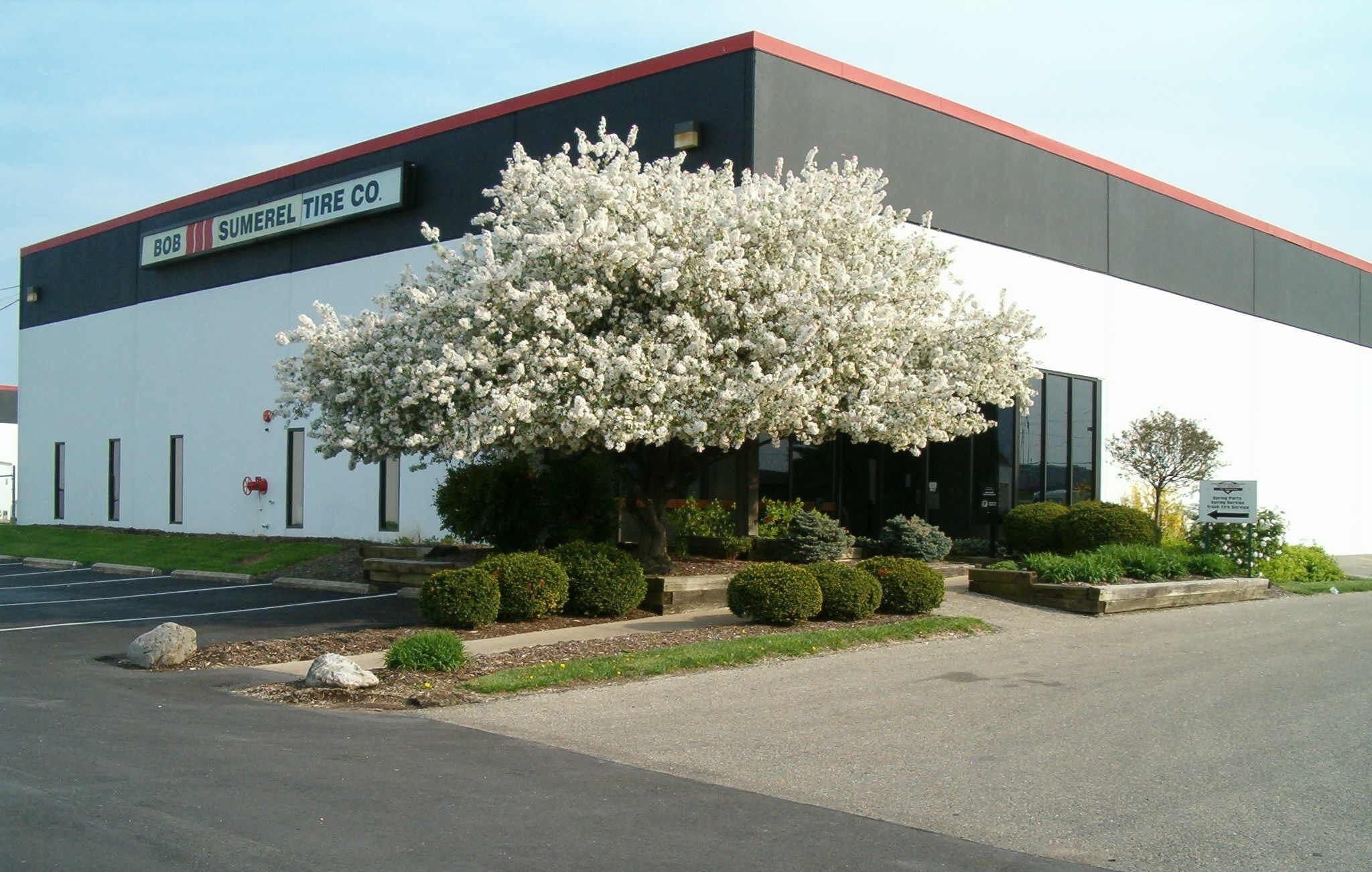 1673363121343 Bobsumereltirebuys5kauffmanoutlets