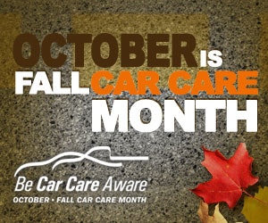 1673365463015 5freewebsiteupdatesforfallcarcaremonth
