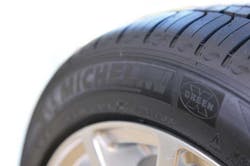 taking-the-green-initiative taking-the-green-initiative