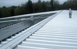 environmentaloly-focused environmentaloly-focused