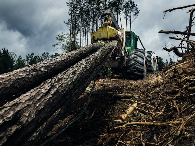 nokian-introduces-the-logger-king-ls-2-for-forestry