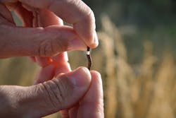 1673376411852 Continentalis510yearsawayfromdandeliontires 1673376411852 Continentalis510yearsawayfromdandeliontires