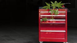 Marijuana remains illegal under federal law. But it is apparent that Congress does not want to weigh in on federal regulations regarding marijuana. They prefer that states regulate the use of marijuana, which continues to confuse employers, employees and consumers. Marijuana remains illegal under federal law. But it is apparent that Congress does not want to weigh in on federal regulations regarding marijuana. They prefer that states regulate the use of marijuana, which continues to confuse employers, employees and consumers.