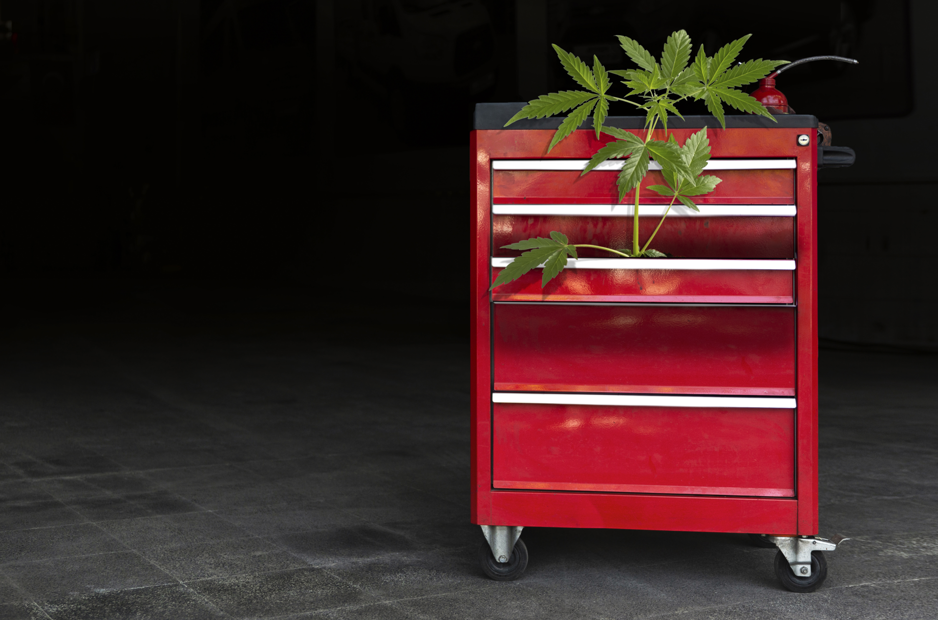 Jamie Hasty, vice president of SESCO Management Consultants, says it is important for tire dealership owners to learn the regulations of their state when it comes to marijuana usage.