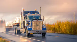 The International Trade Commission will conduct a review to determine whether revoking the tariffs on truck and bus tires from China would injure the domestic truck tire market.