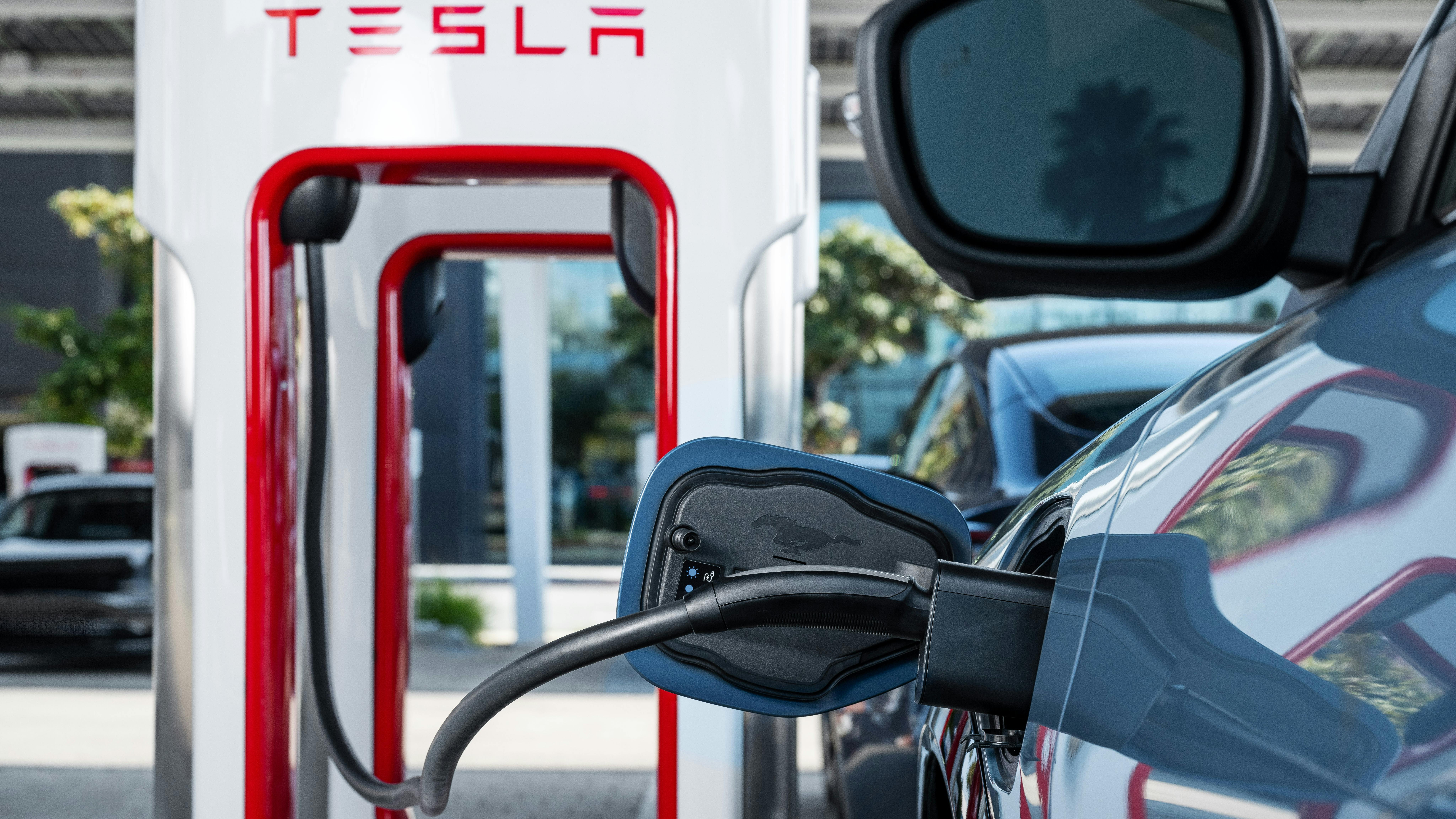 'The era of EVs is here,' says Van Batenburg. 'You can believe the myths and negative news and stay away or you can get involved.'