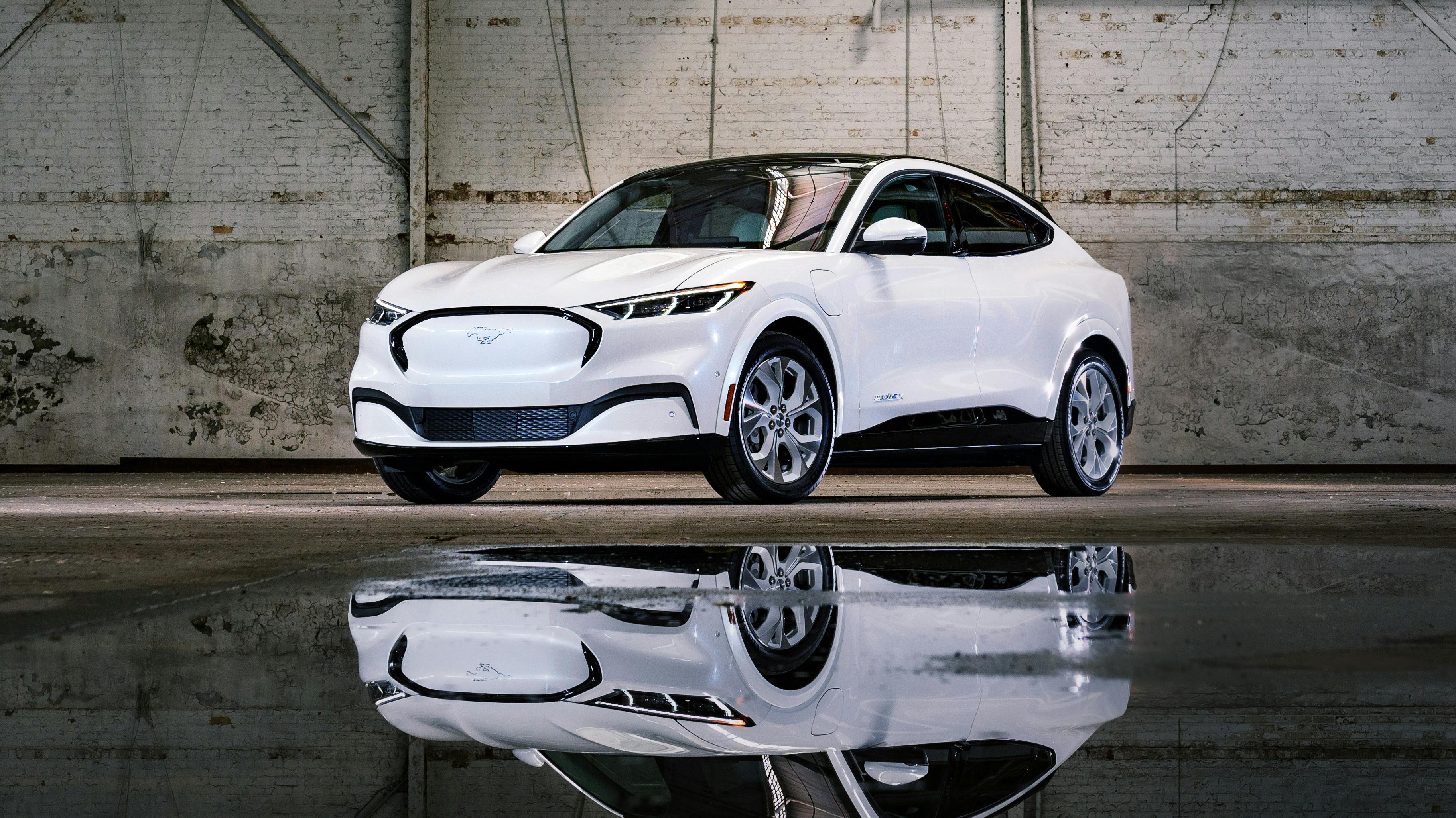 'The EV segment is new and ever-changing as EV manufacturers keep trying new things,' says Van Batenburg. 'The high-voltage battery pack is still under development to make it safer, lighter and less expensive. Parts that were also used on hybrid cars are mature.'