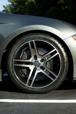 powerpaw_tight_shot_300px_wide powerpaw_tight_shot_300px_wide