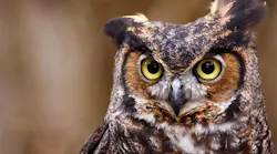 'Wise people get as much of the whole story as they can, just because it makes for a smoother process,' says McCarron.