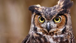 'Wise people get as much of the whole story as they can, just because it makes for a smoother process,' says McCarron. 'Wise people get as much of the whole story as they can, just because it makes for a smoother process,' says McCarron.