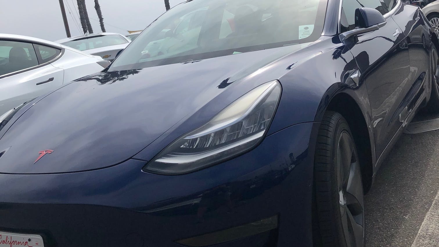 'EVs will not go away,' says Van Batenburg. 'They make sense to many car owners and if America wants to stay competitive worldwide, we need to be a leader in electric drive systems.'