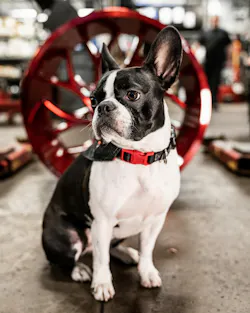 Tire Pros & Wheel Experts Tire Pros & Wheel Experts