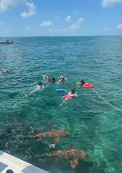 tire dealers snorkeling