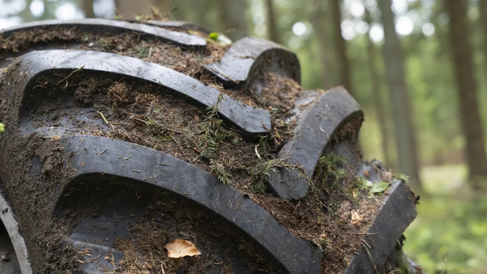 Forest King TRS 3 tire